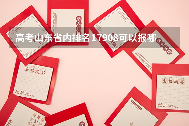 高考山东省内排名17908可以报哪些211学校