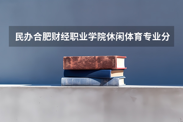 民办合肥财经职业学院休闲体育专业分数线是多少(近三年分数线一览)