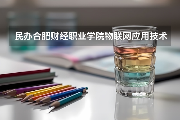 民办合肥财经职业学院物联网应用技术专业分数线是多少(近三年分数线一览)