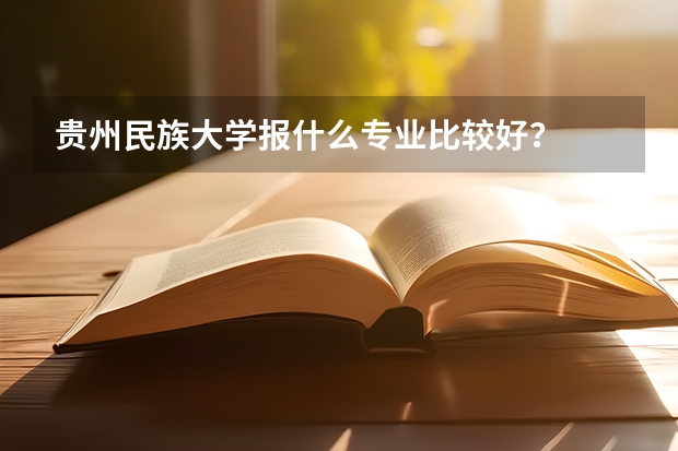 贵州民族大学报什么专业比较好？