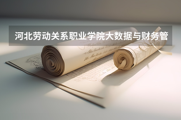 河北劳动关系职业学院大数据与财务管理专业分数线是多少(近三年分数线一览)