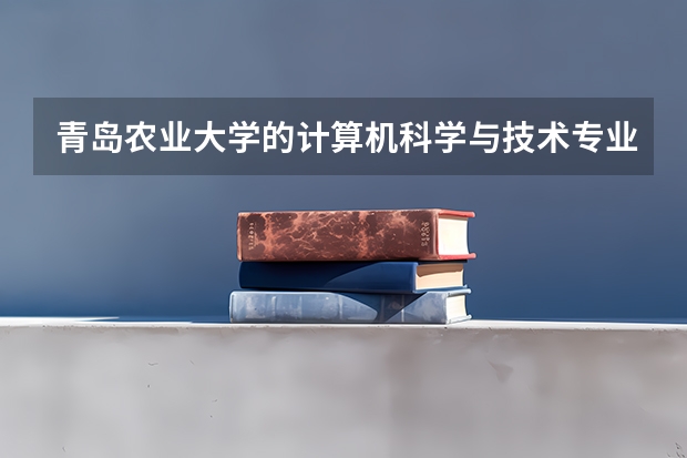 青岛农业大学的计算机科学与技术专业怎么样?