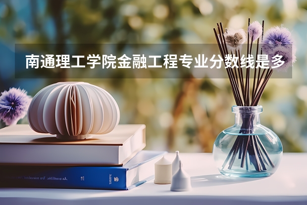 南通理工学院金融工程专业分数线是多少(近三年分数线一览)